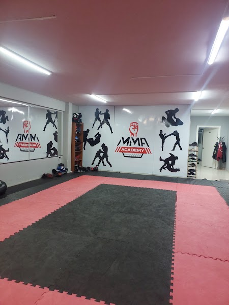 MMA Academy
