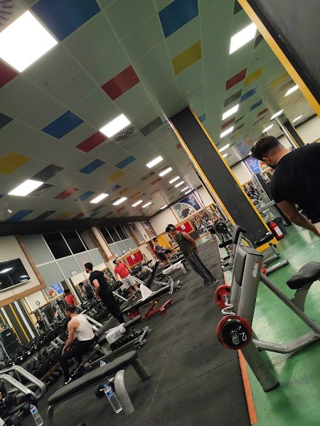Spor salonu (Gym)