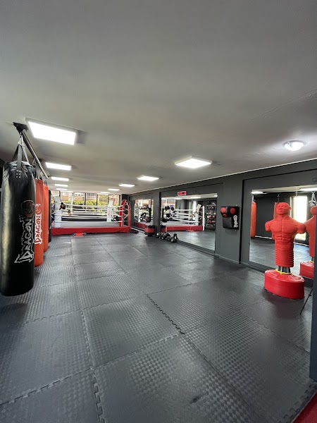 Kaan Dursun Fight Academy