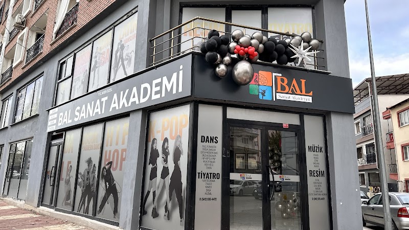 T.C. MEB ÖZEL BAL SANAT AKADEMİ | YENİ MAHALLE ŞUBESİ