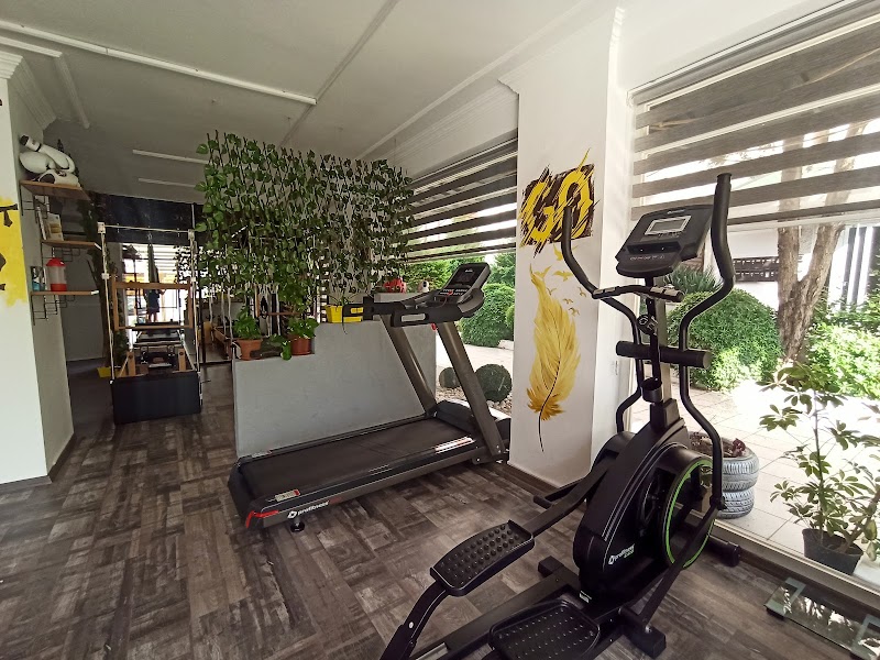 MS Wellness & Pilates