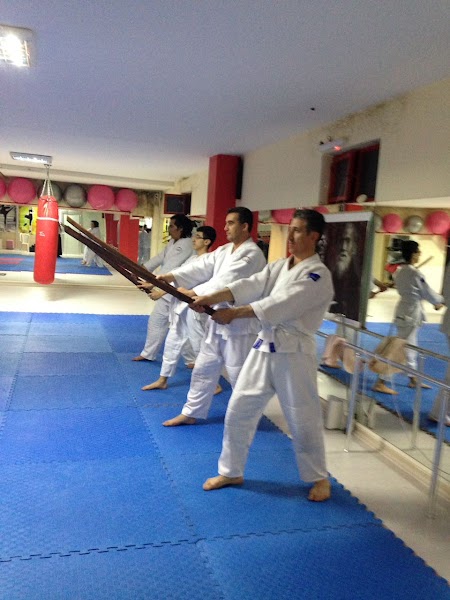 Kayseri UAO Aikido Okulu