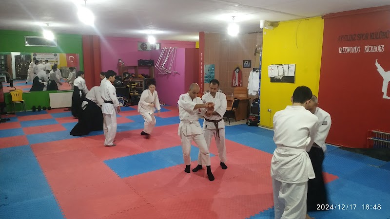 Anka Aikido