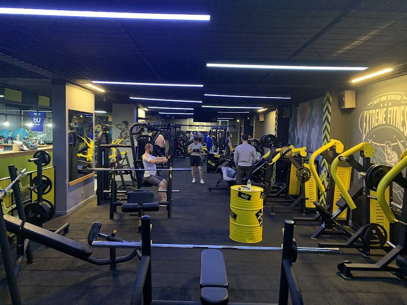 Tempo Wellness GYM