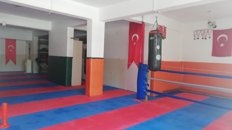 Dr.Alp Milas Spor Kulübü (Kickboks - Taekwondo - Muay Thai)