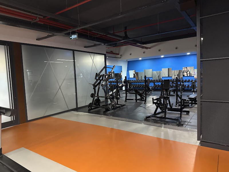 Nfit Club Sport & Wellness