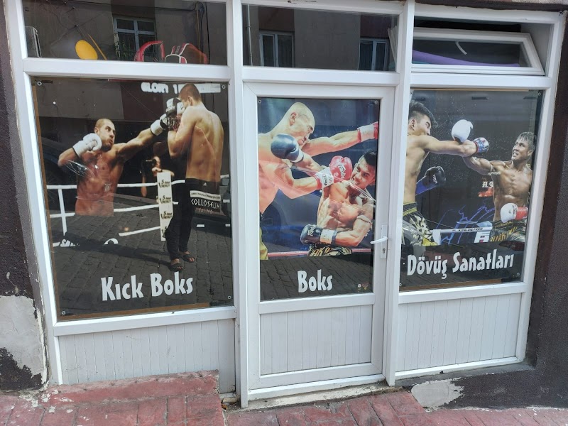 Reis Fight Academi