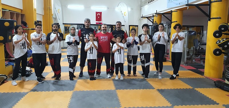 Barış için savunma sanatları
