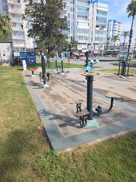 Outdoor workout gym