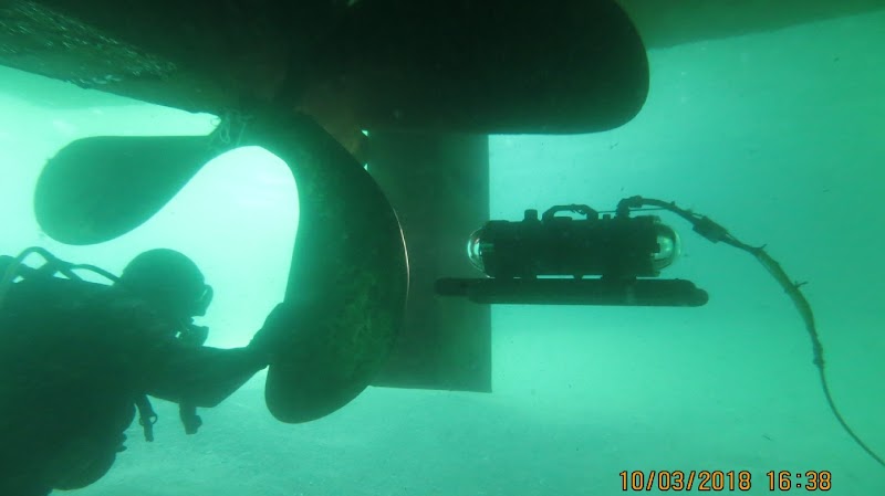 Su Dünyası Marine