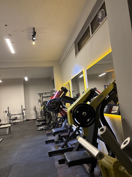 Manşet Gym Plus