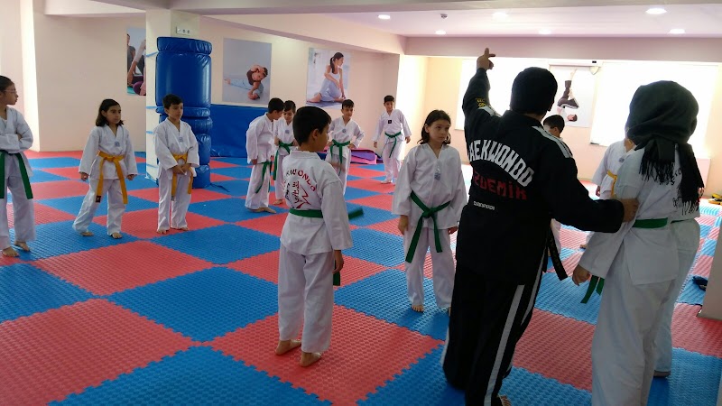 ÖZDEMİR TAEKWONDO İHTİSAS KULÜBÜ