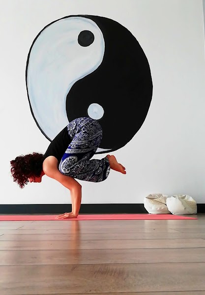GAJA YOGA DÜZCE