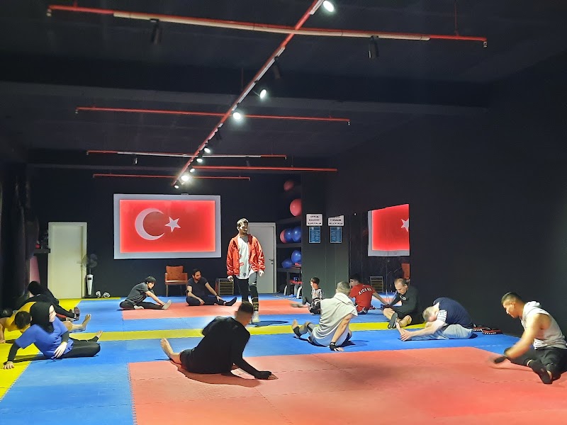 Eryaman MMA Kickboks