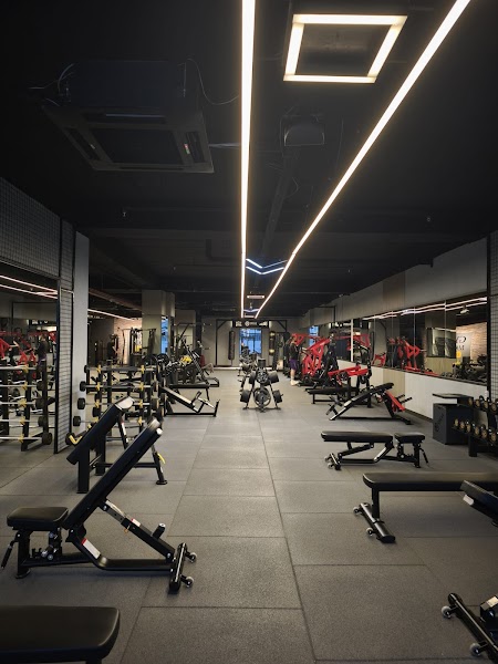oscar fit club