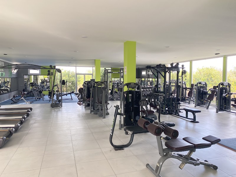 Angel Gold's Fitness