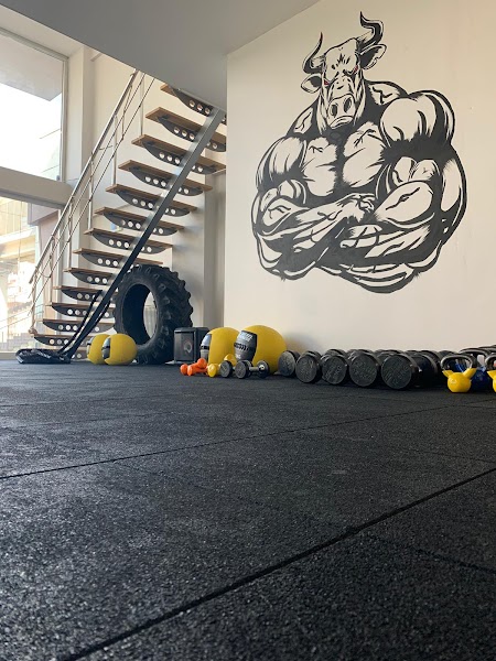 Ops Gym Studio