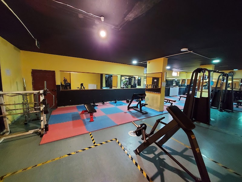 Fit City