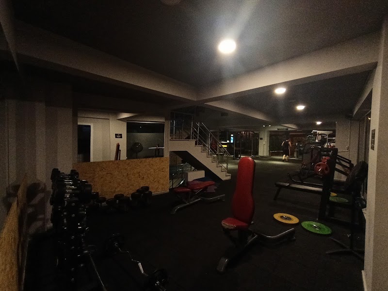Dumbell Bee