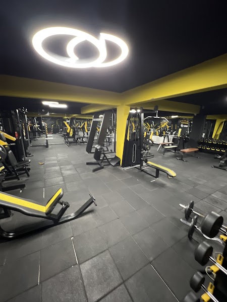 GORILLA FITNESS
