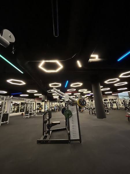 Erdem Akkaya Sports 100.Yıl GYM XXXL
