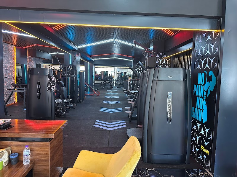 Efe Gym Private