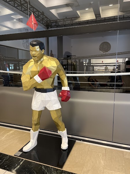 İbrahim Anli Fight Club Mavişehir