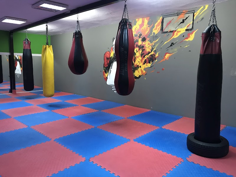 Ring Show Fight Club Kick Boks, Muay Thai