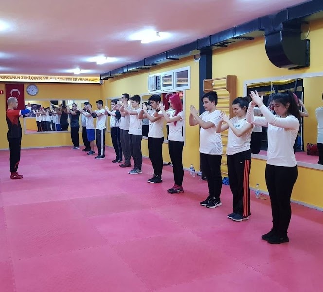 Çankaya Savunma Sanatları Spor Kulübü