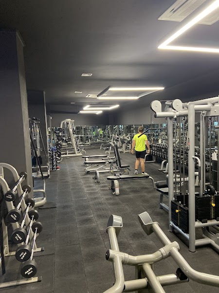Royal Blue gold gym Yalova