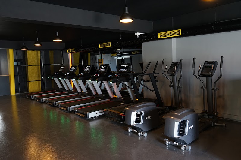 Unique Prime Fitness