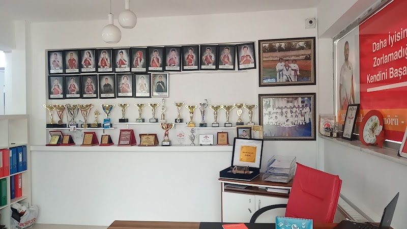 Nilüfer Kick Boks