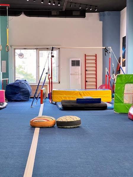 Gymnastics Plus Spor Özel Eğitim A.Ş.