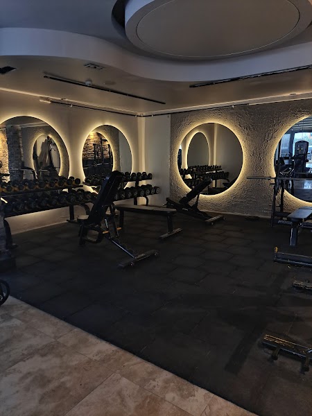 FULL FORCE (vip fitness)