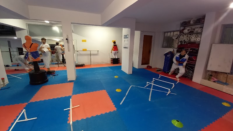 Kafkas Taekwondo Spor Kulübü