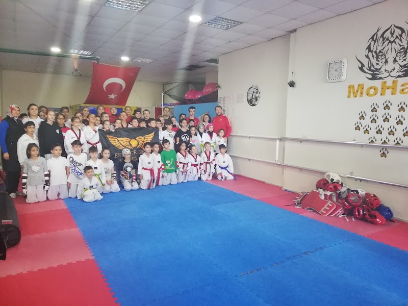 Mohaç Spor Klübü Derneği