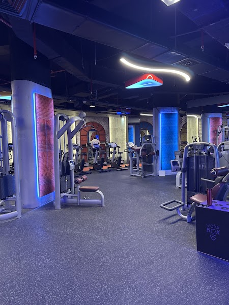 GYMFIT OLIVIUM