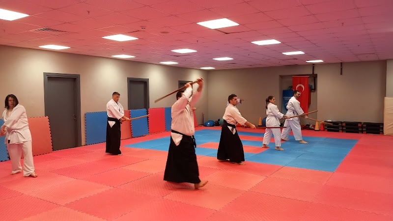 United Aikido Bursa ( Uzak Doğu Sporları Merkezi)