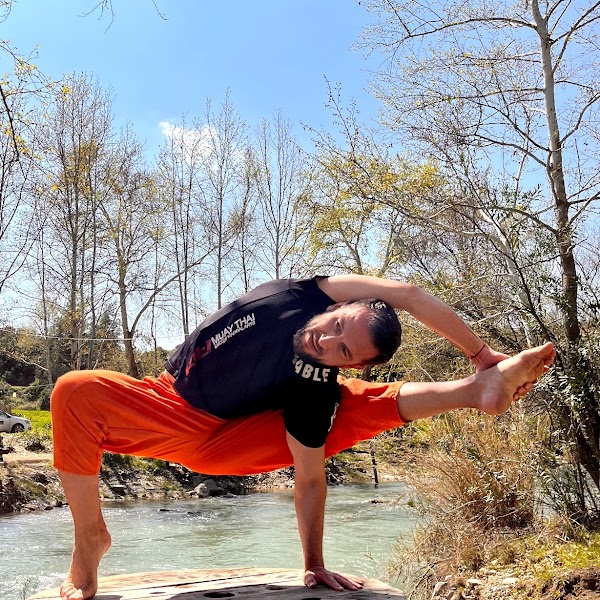 yoga_tado