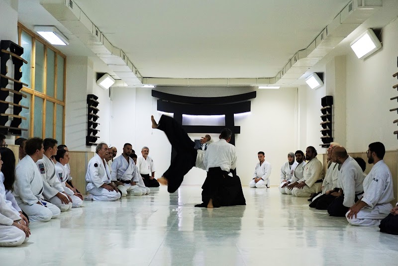 Torii Dojo
