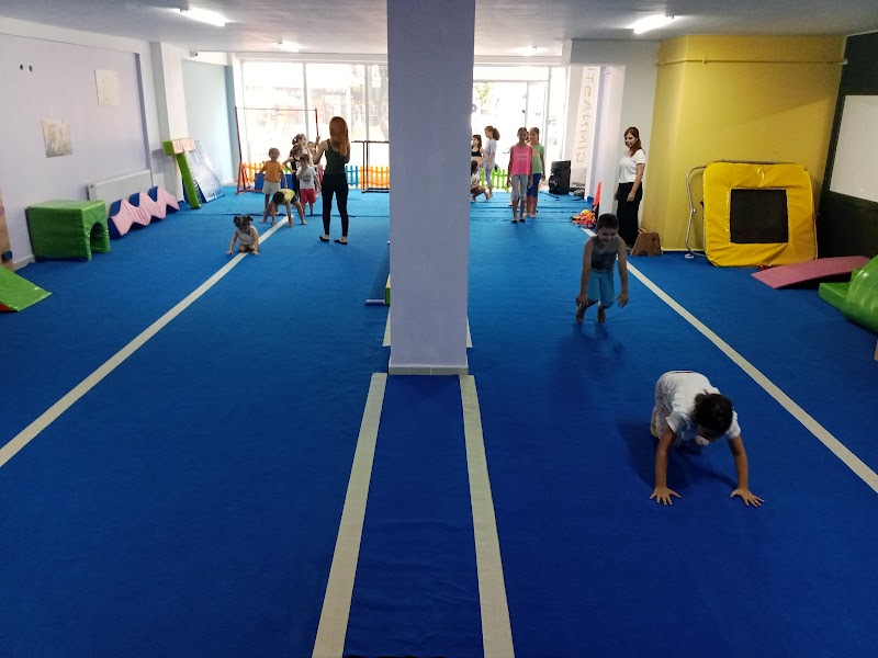 Flexi Motion