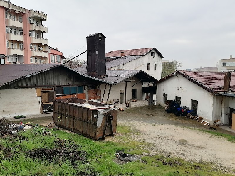 Sağlıklı Yaşam Derneği