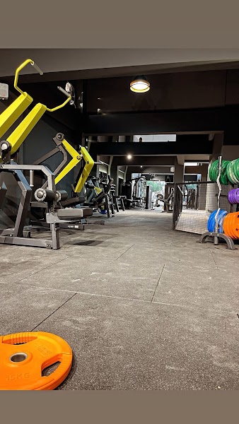 Flex Gym