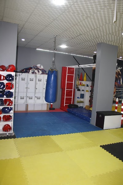 doğuş spor