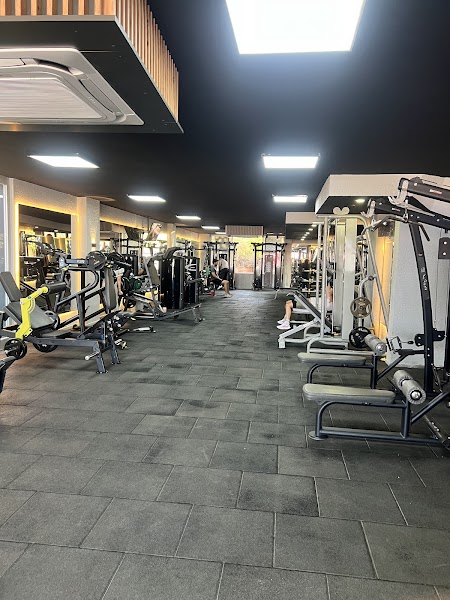 King Lion Gym