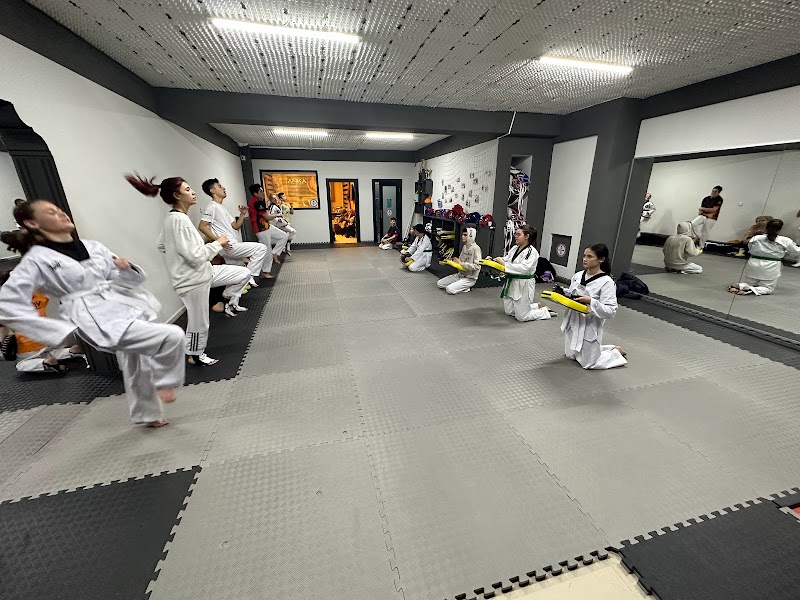 Anka Spor Akademi