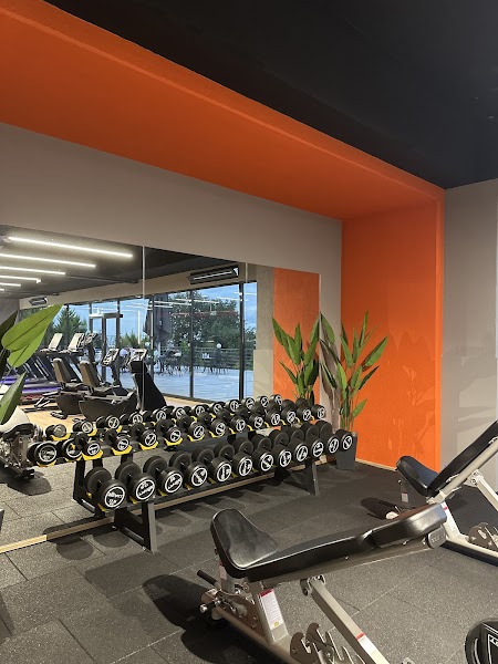 ZenFit Trabzon