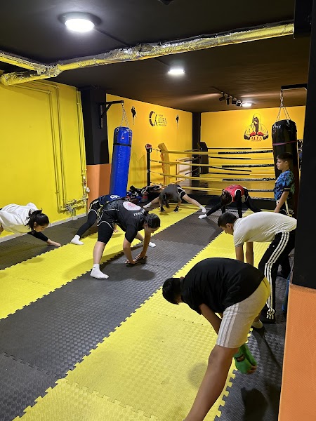 Alfa Spor Akademi