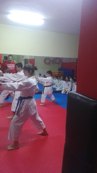 Ankara Karate İhtisas Spor Kulübü (AKİK) (Shito-Ryu stili)