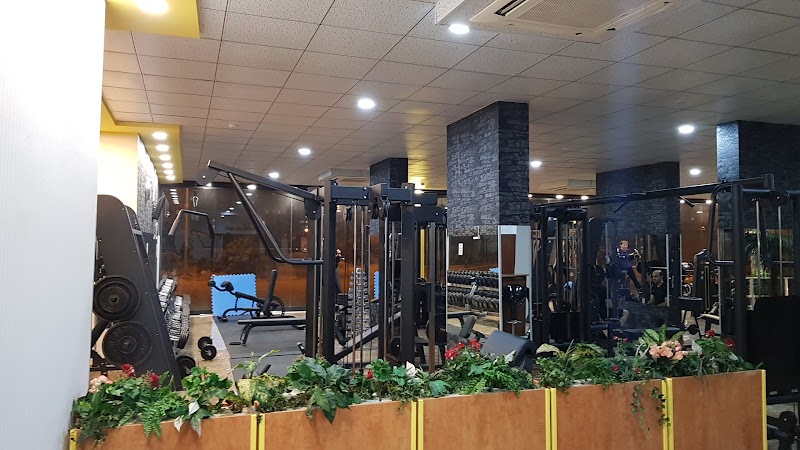 King Of GYM